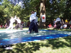 Aikido 035 